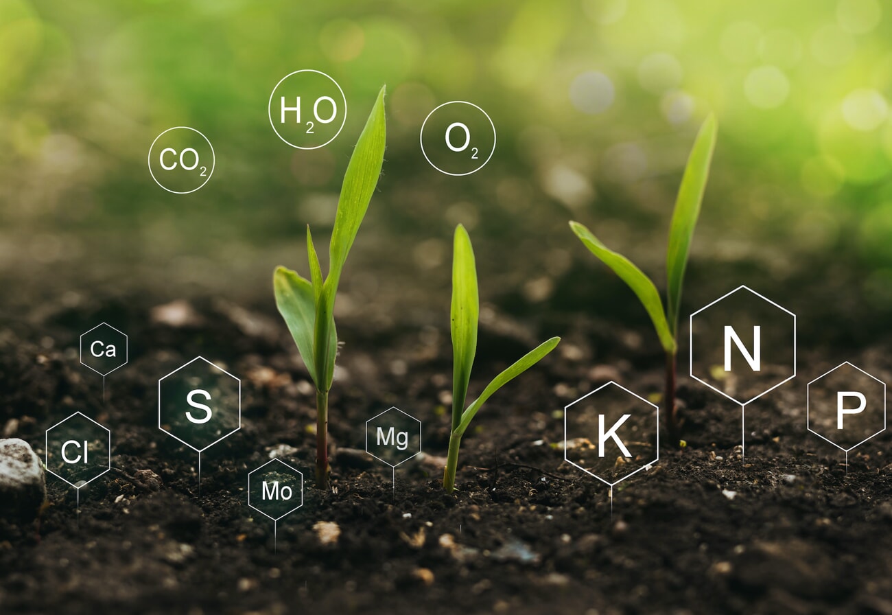 elements that make up soil 